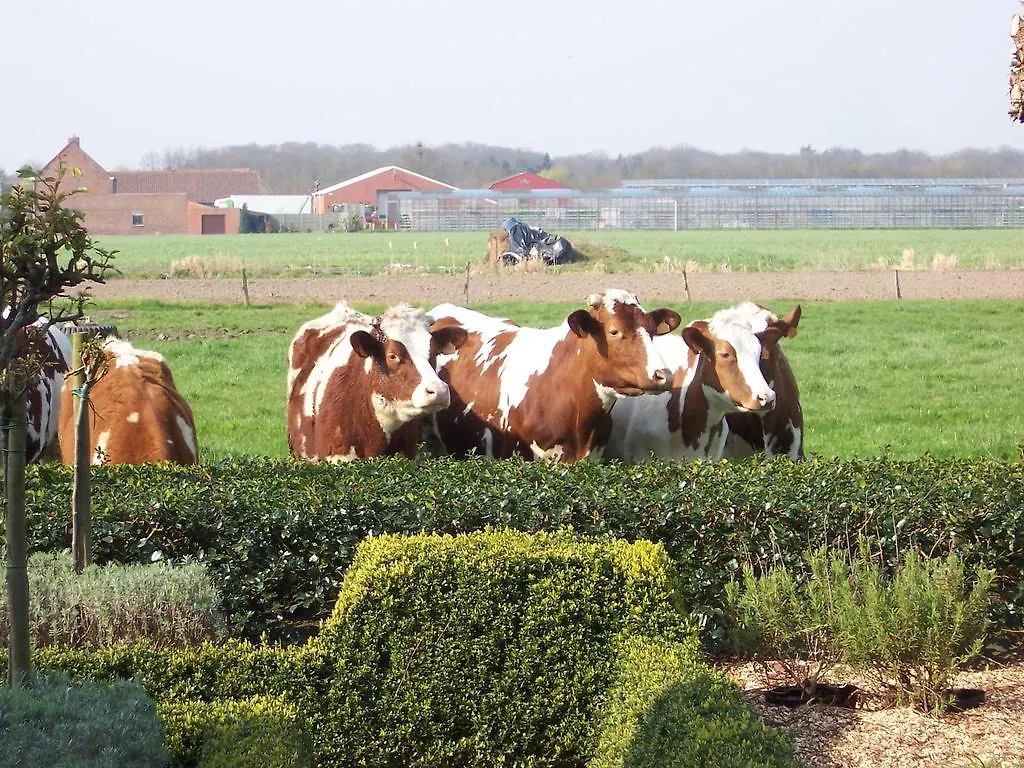 Vakantielogies Boerke Naas Brujas Сasa de vacaciones
